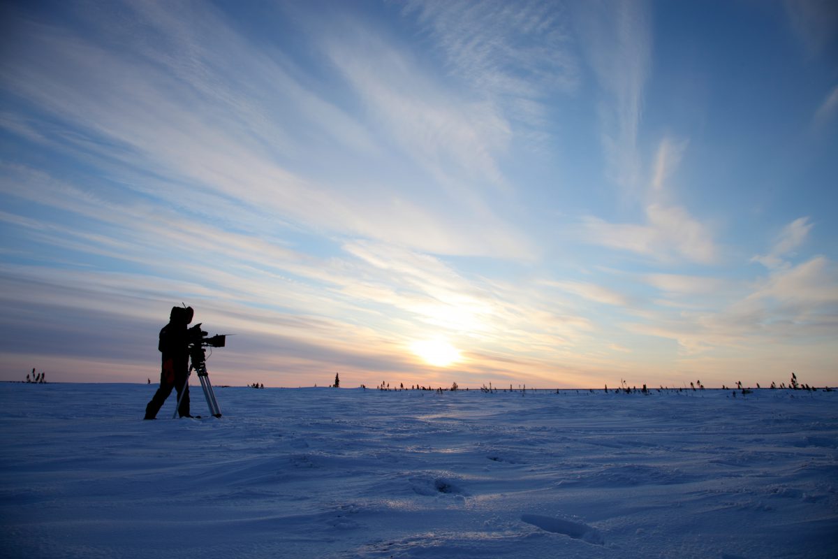 Sophie Darlington – Wildlife Cinematographer